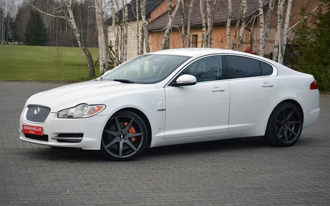 Jaguar XF cena 49900 przebieg: 219000, rok produkcji 2011 z Piwniczna-Zdrój małe 781